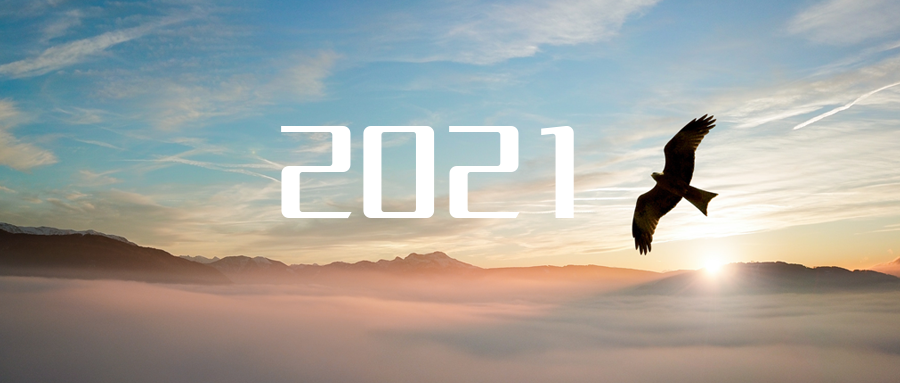 乘“峰”而上，智“盈”未来 ——2021年BB贝博艾弗森环境高级资深副总裁新年开工动员